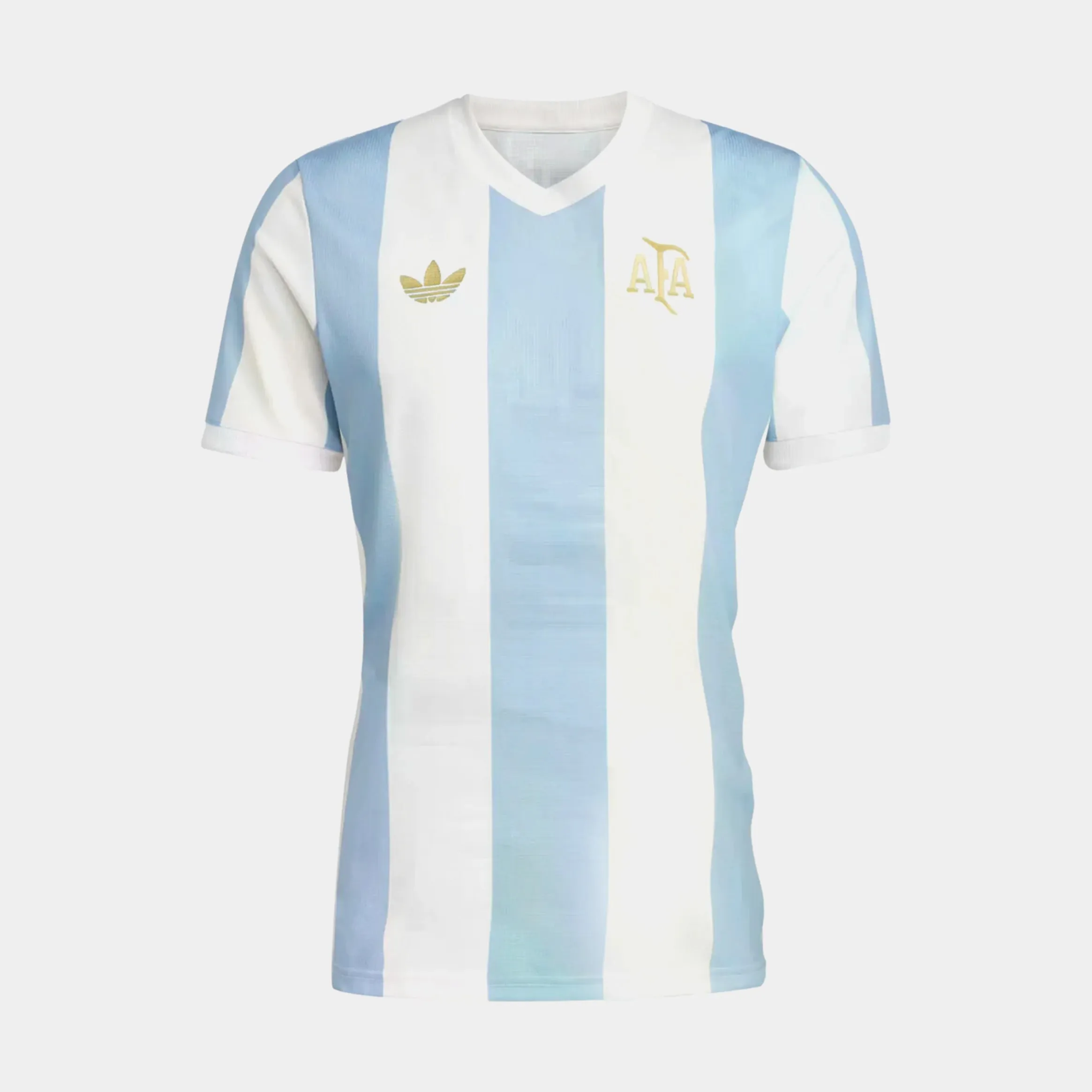 Argentina Anniversary 2024 Mens Jersey (White/Blue) No Resistance