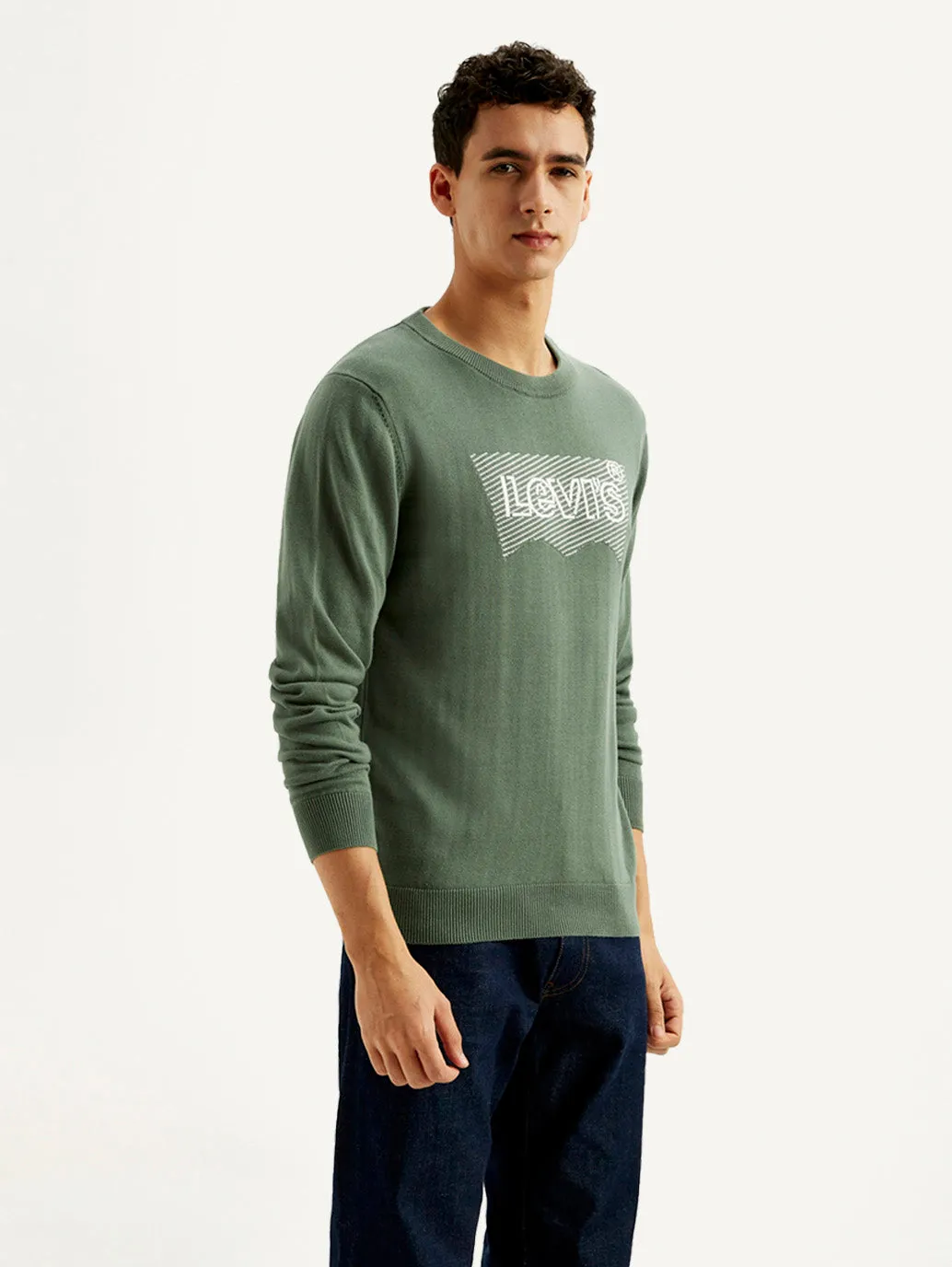 Oversized Collar Style Men's Brand Logo Sage Crew Neck Sweater
