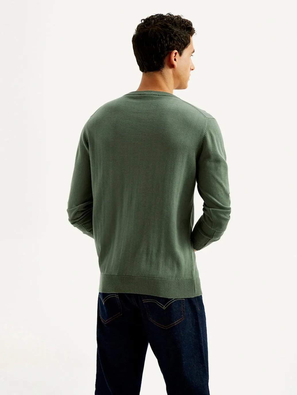 Daily Comforted Elastic Seamless Design Men's Brand Logo Sage Crew Neck Sweater