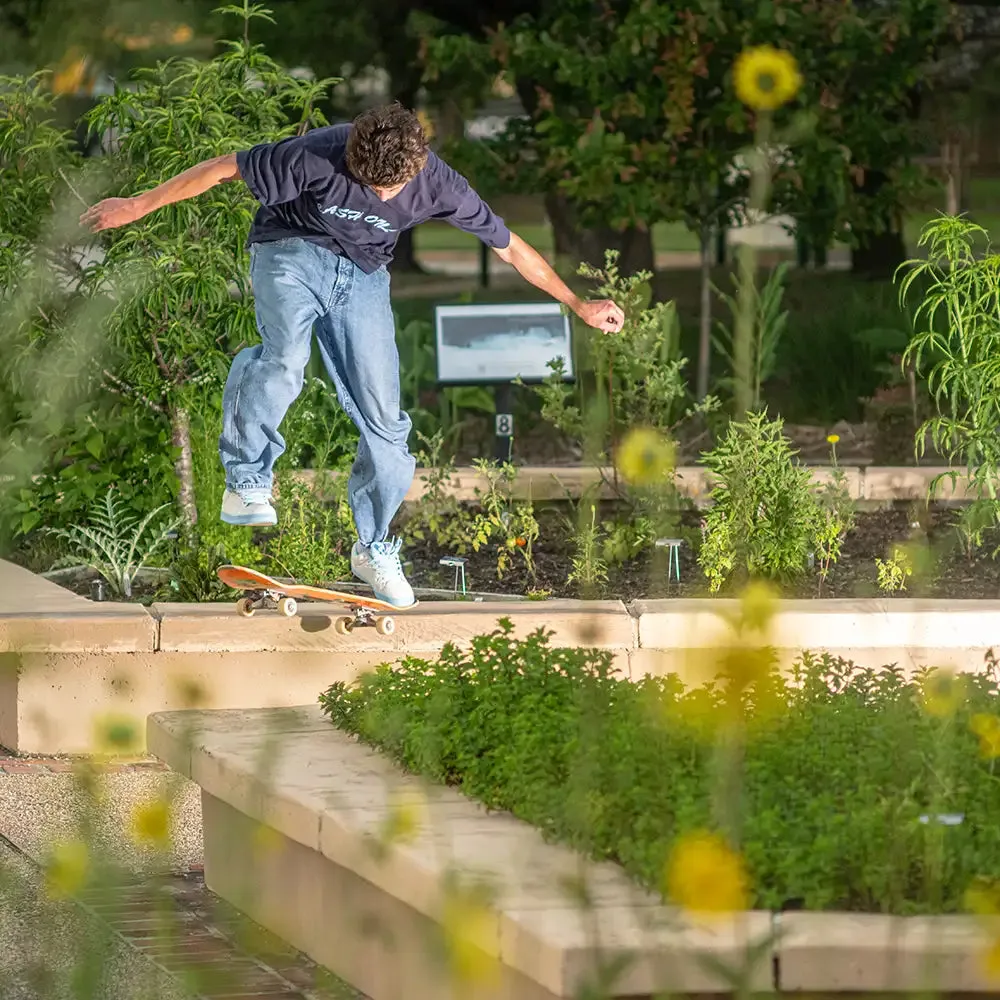 Sal 23 Flexible Arch Sturdy Build